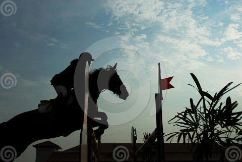 stall-drapes-horse-shows-1